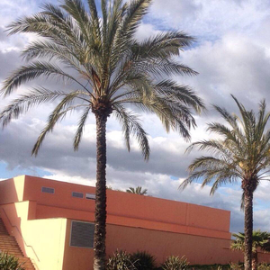 狠狠色狠狠色综合久久一
